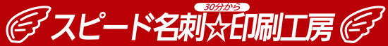 千代田区,麹町,半蔵,印刷屋,平河町,番町,隼町,紀尾井町,永田町,九段,丸の内,四ッ谷,名刺,特急,急行,スピード,急ぎ,60分,カラー,活版,活字,樹脂板