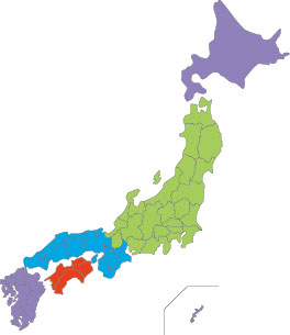 名刺 特急 急ぎ スピード 印刷